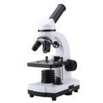 Microscopio Binocular, 40-640X Microscopio estereoscópico Binocular, Microscopio Binocular Biológico Aumento con LED, Material Didáctico, 110/220V(A).